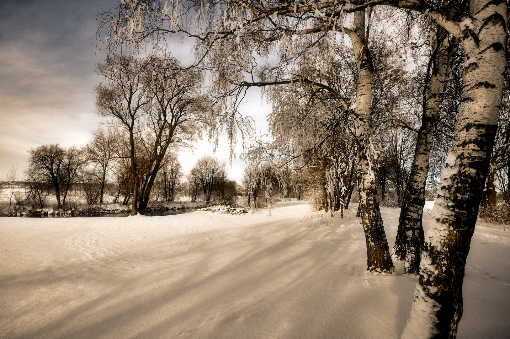 Winter an der Mulde.......