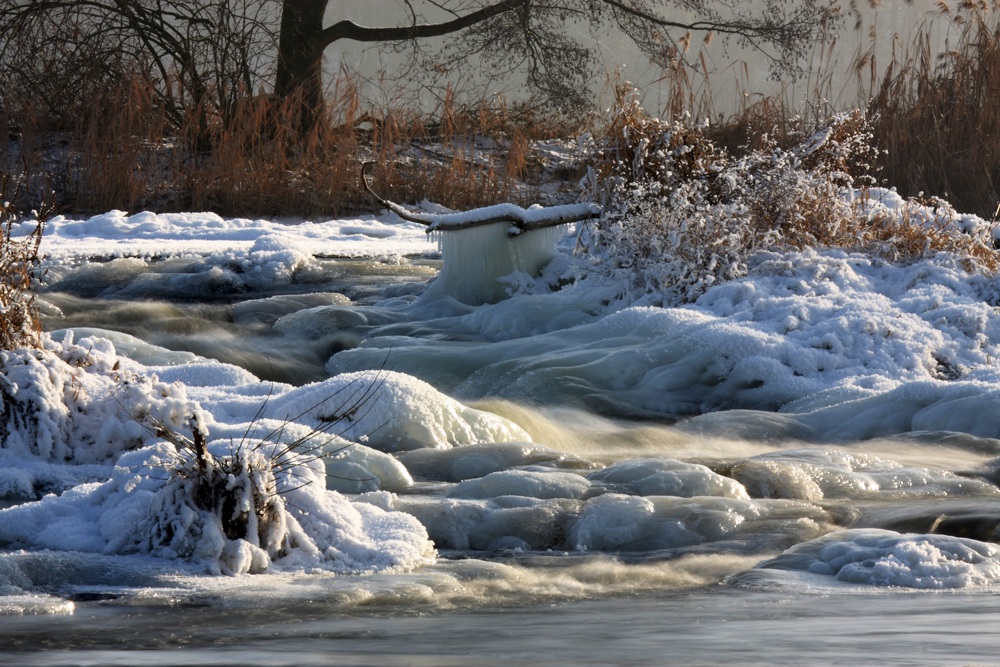 Winter an der Naab