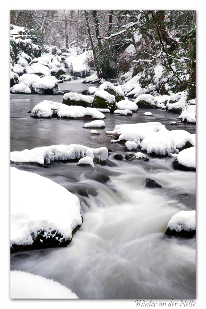 Winter an der Nette