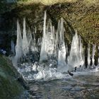 Winter an der Nette im Rauscherpark bei Saffig (2)