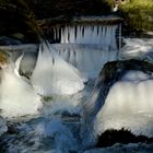 Winter an der Nette im Rauscherpark bei Saffig