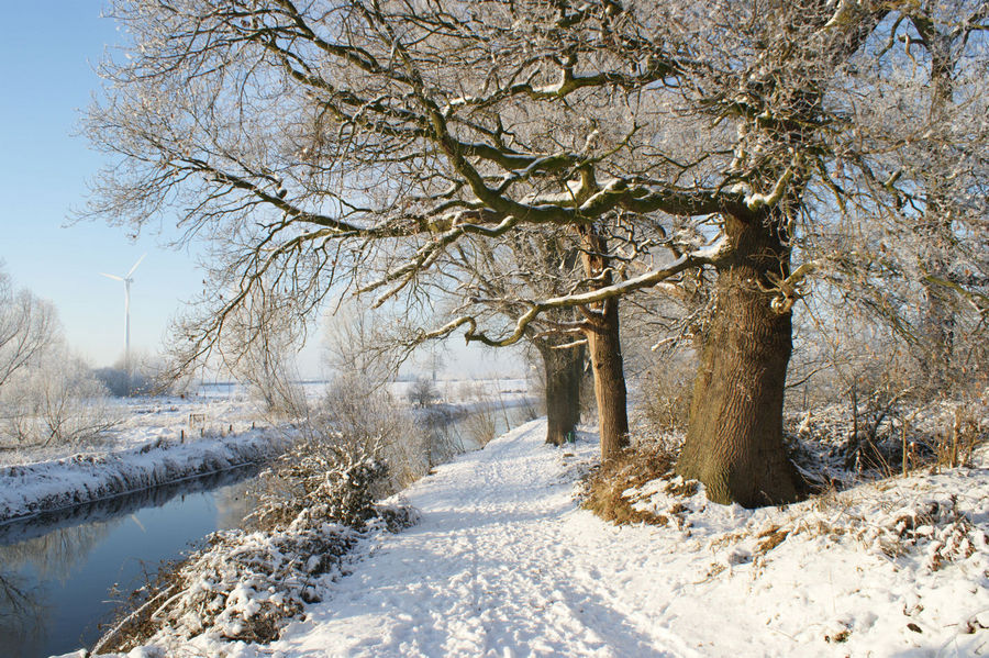 Winter an der Niers