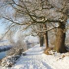 Winter an der Niers