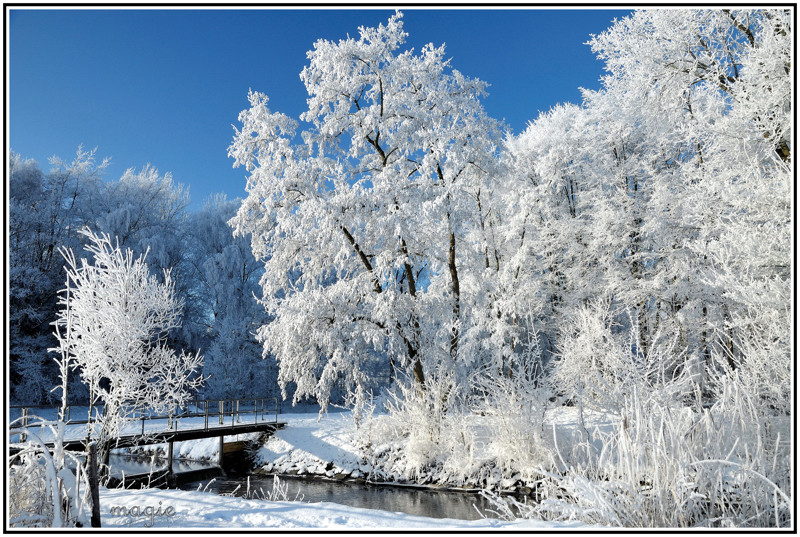 Winter an der Niers