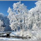 Winter an der Niers