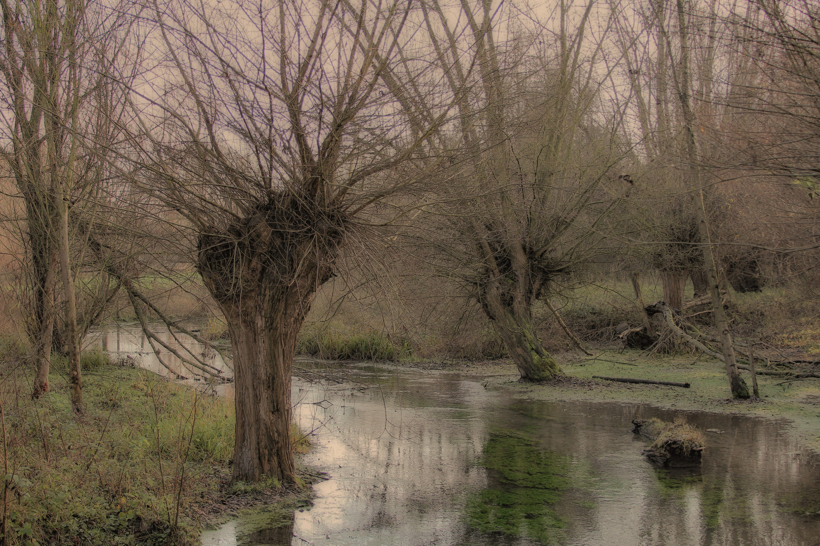 Winter an der Niers