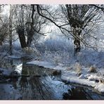 Winter an der Niers I