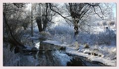 Winter an der Niers I