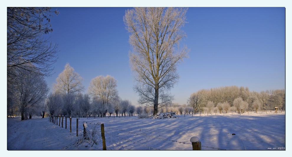 Winter an der Niers II