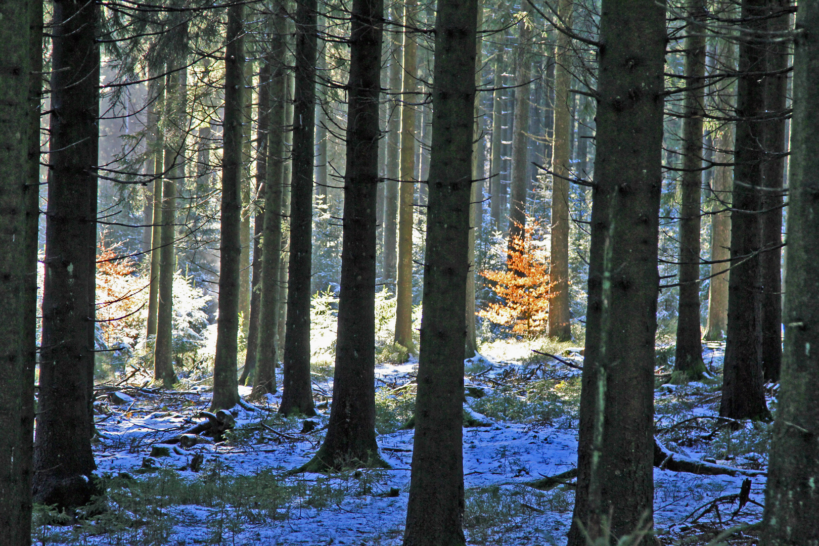 Winter an der Nordhelle im Sauerland