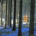 Winter an der Nordhelle im Sauerland