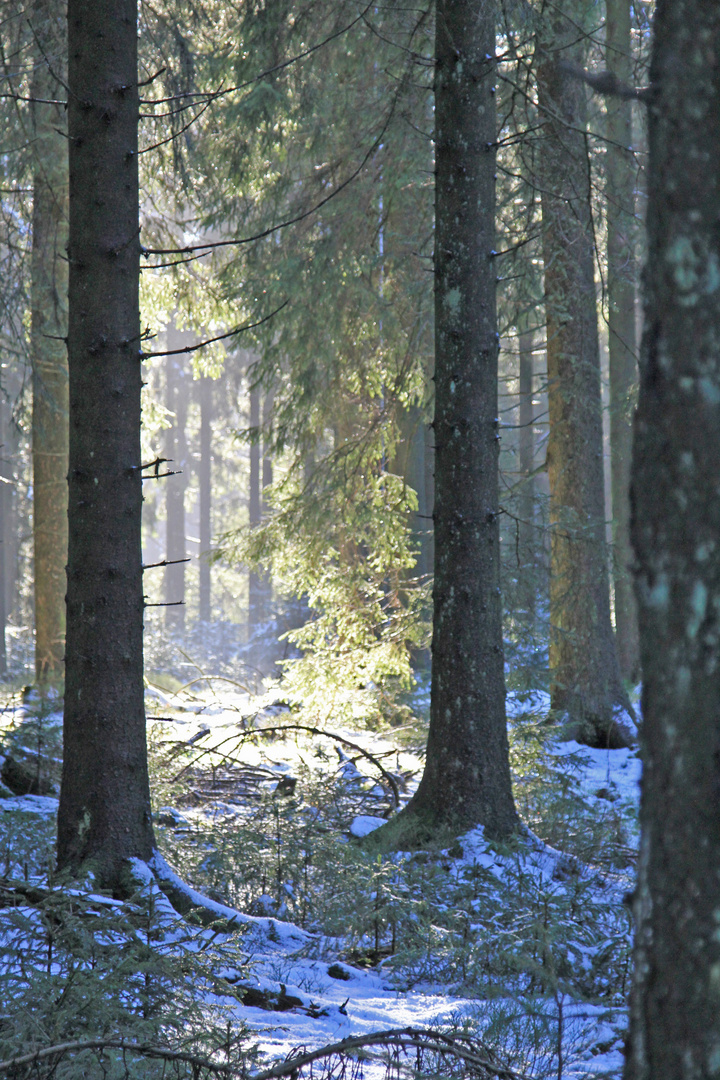 Winter an der Nordhelle im Sauerland