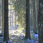 Winter an der Nordhelle im Sauerland