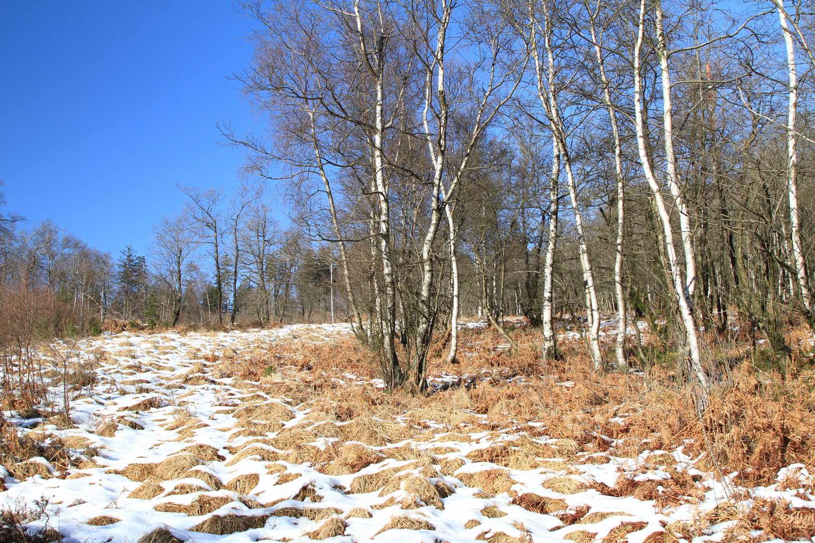 Winter an der Nordhelle im Sauerland