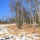 Winter an der Nordhelle im Sauerland