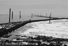 Winter an der Nordsee (5)