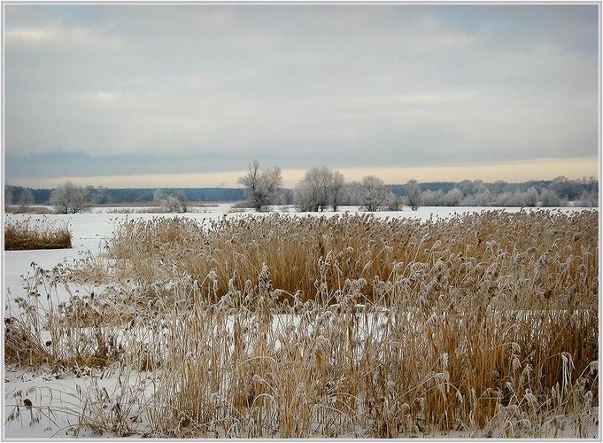 Winter an der Oder von Richard Stahl