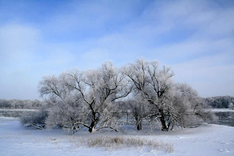 Winter an der Oder 1