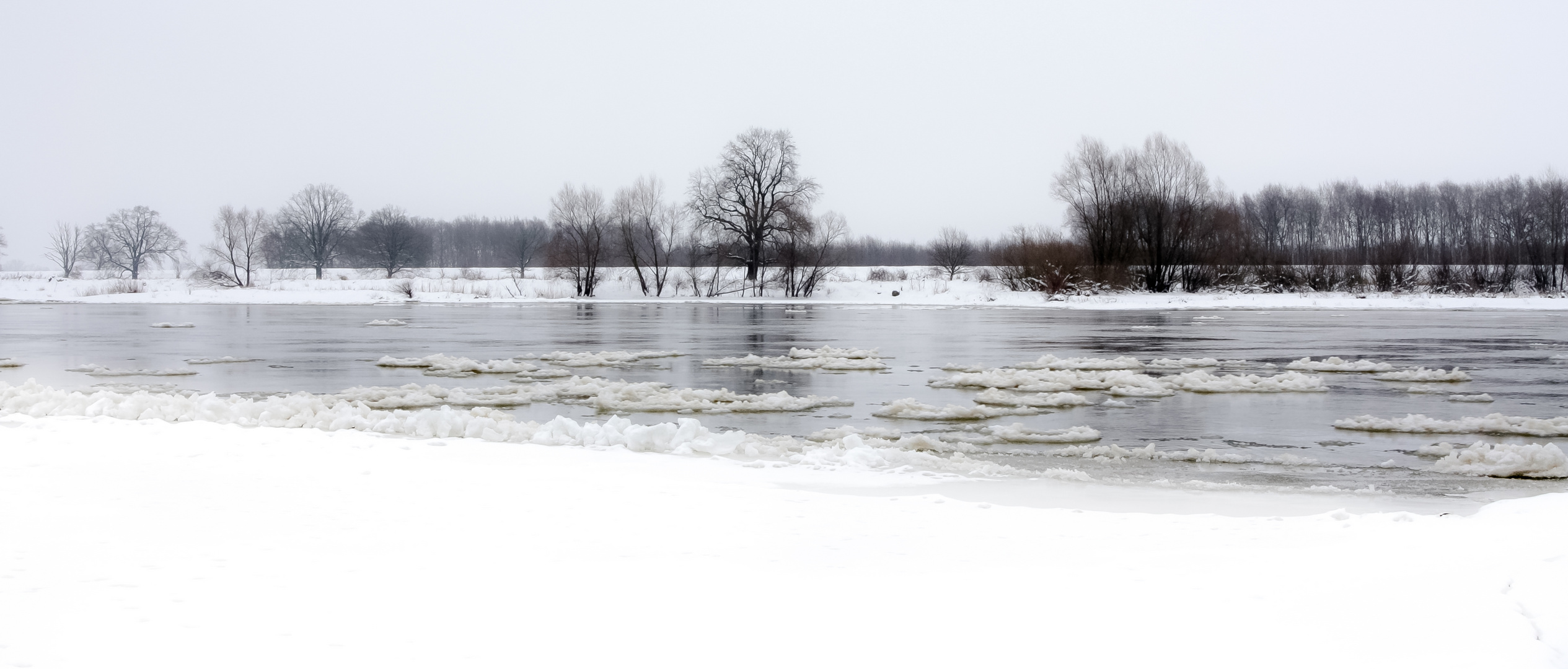 Winter an der Oder