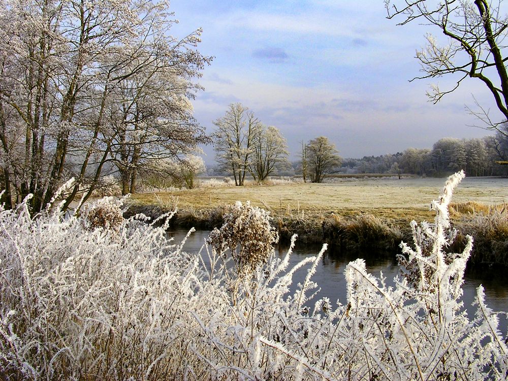 Winter an der Örtze Dezember 2007