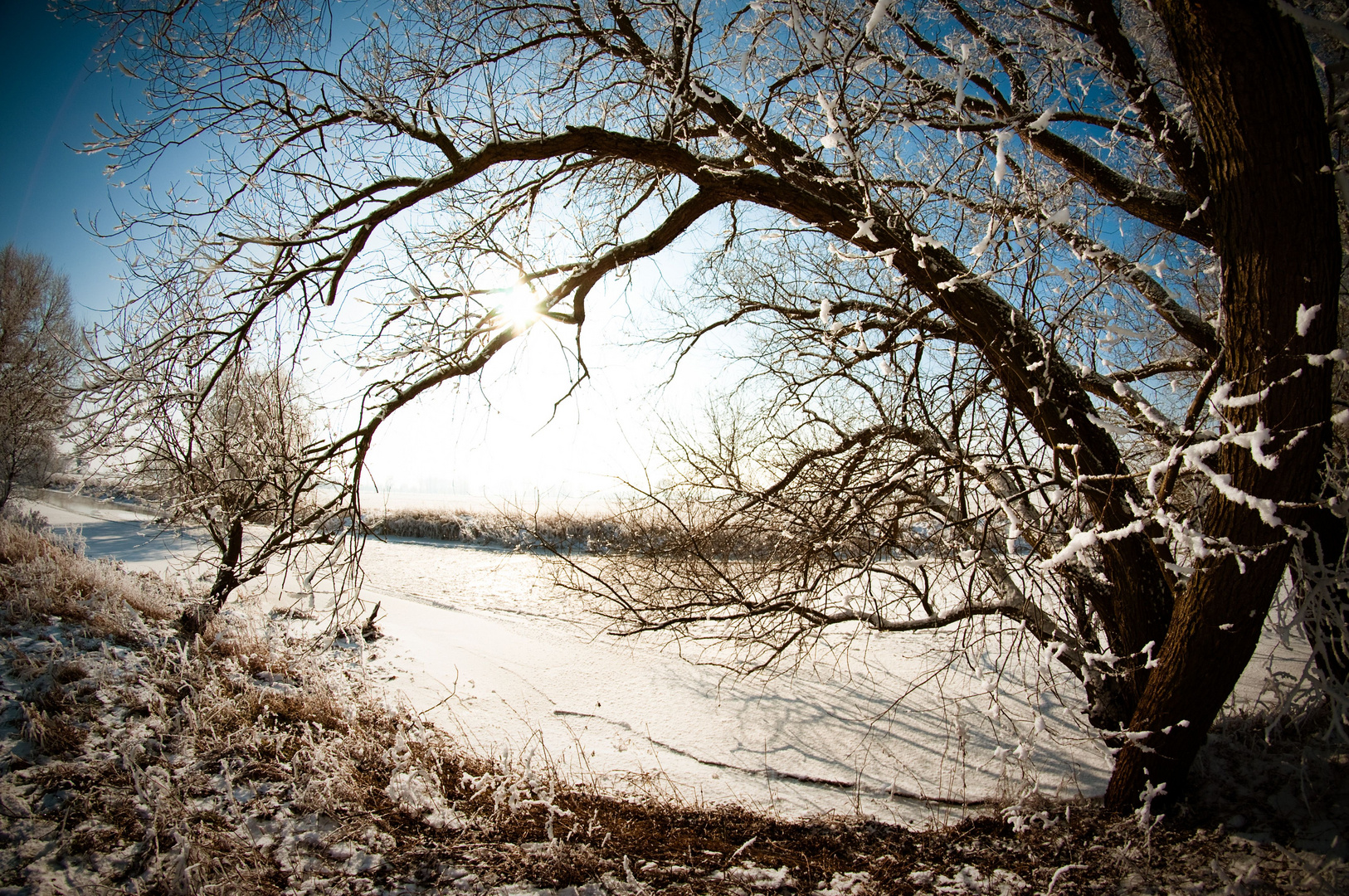 Winter an der Ohre