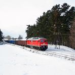 Winter an der Ostbahn