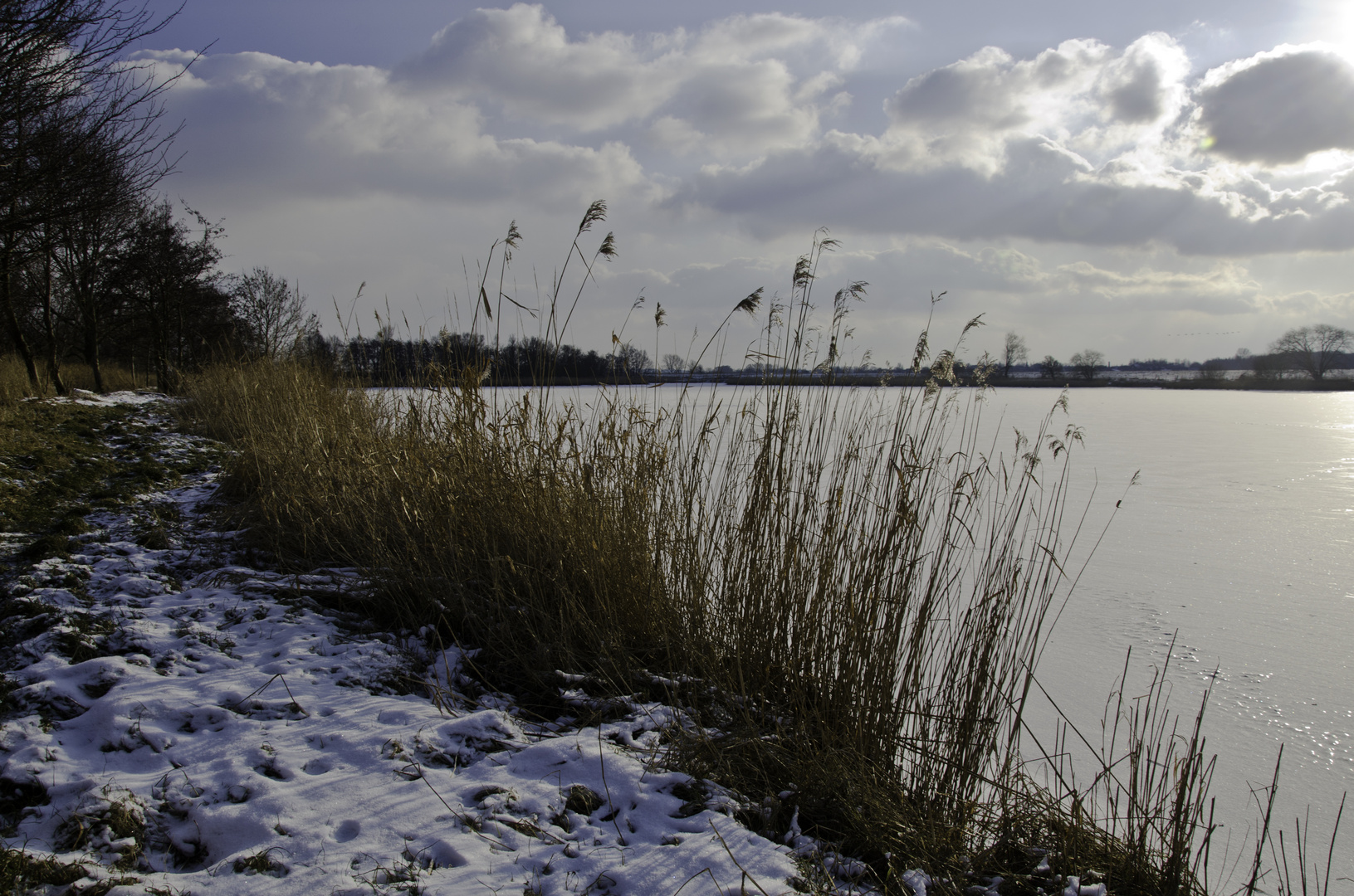 Winter an der Oste