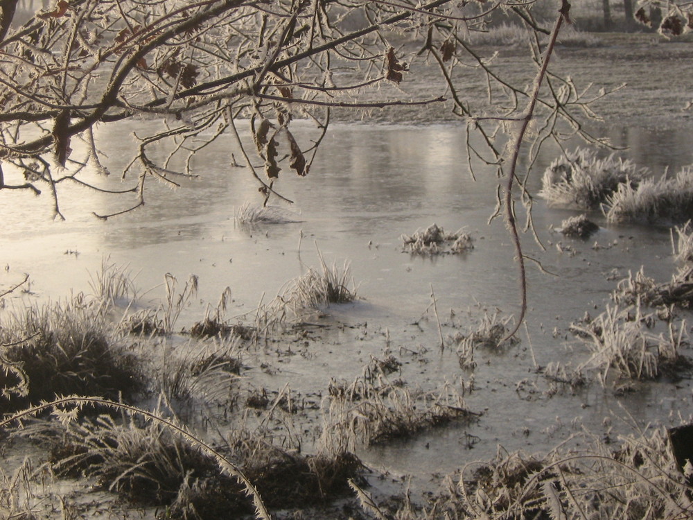 Winter an der Oste