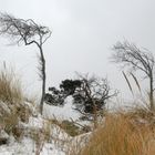 Winter an der Ostsee