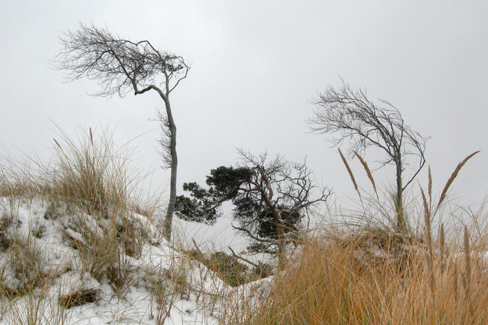 Winter an der Ostsee