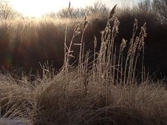 Winter an der Ostsee