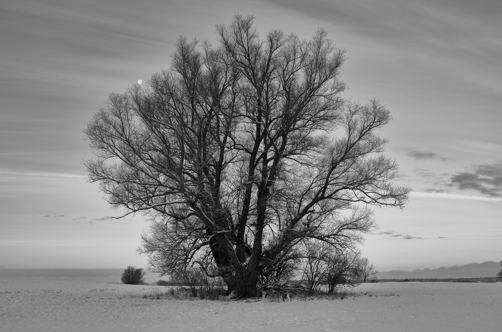 Winter an der Ostsee