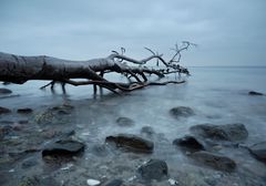 Winter an der Ostsee