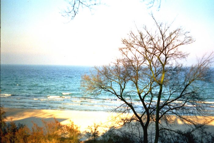 Winter an der Ostsee