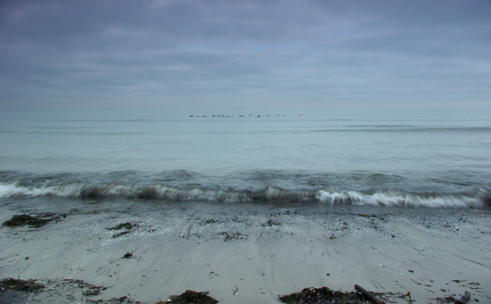 Winter an der Ostsee - Darß