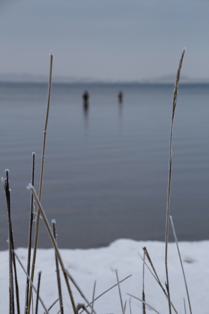 Winter an der Ostsee I