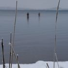 Winter an der Ostsee I