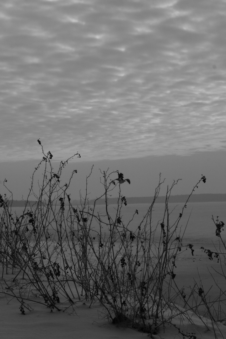 Winter an der Ostsee I