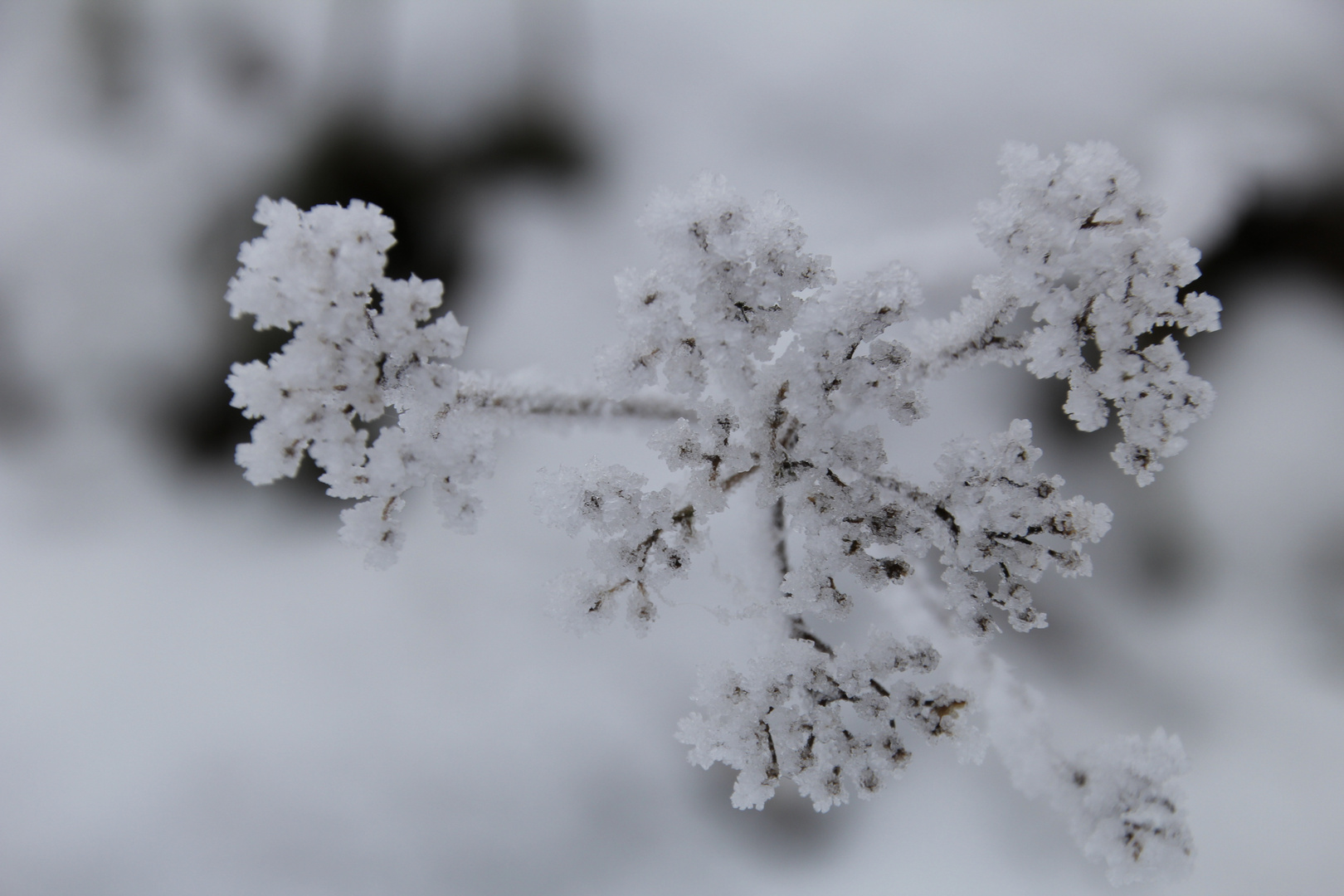 Winter an der Ostsee II