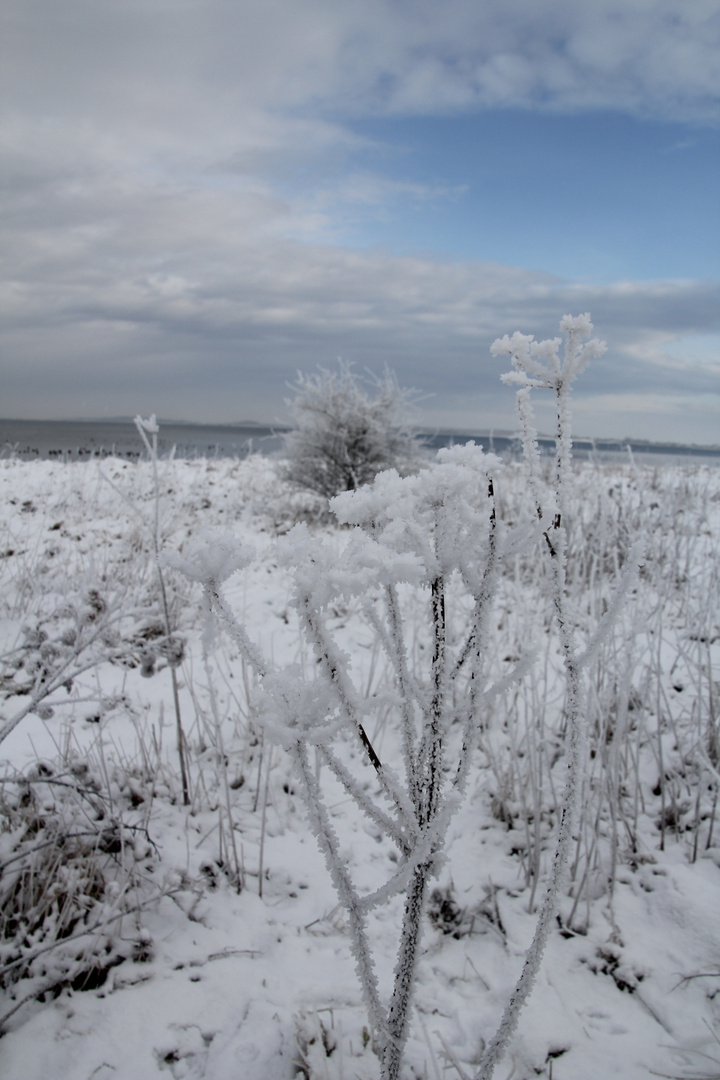 Winter an der Ostsee III