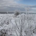 Winter an der Ostsee III