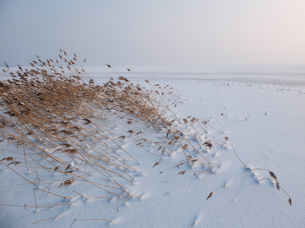 Winter an der Ostsee - Schneedüne 1