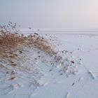 Winter an der Ostsee - Schneedüne 1