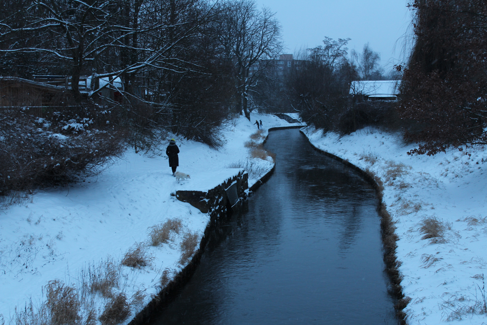 Winter an der Panke