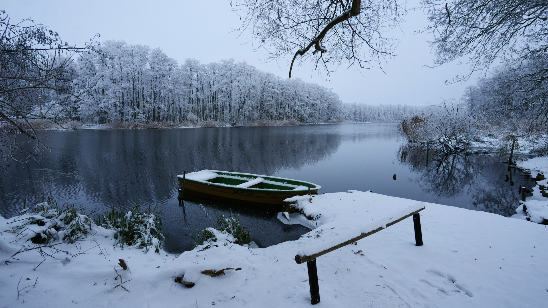 Winter an der Peene