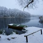 Winter an der Peene