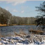 Winter an der Peene