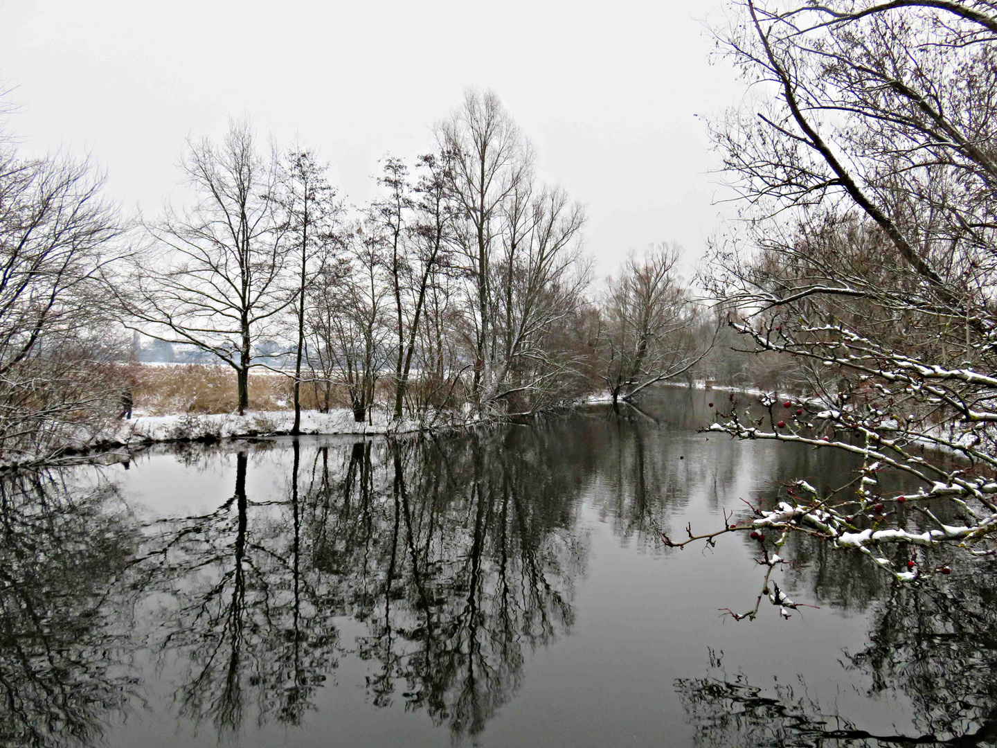 Winter an der Pegnitz