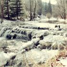 Winter an der Preßnitz