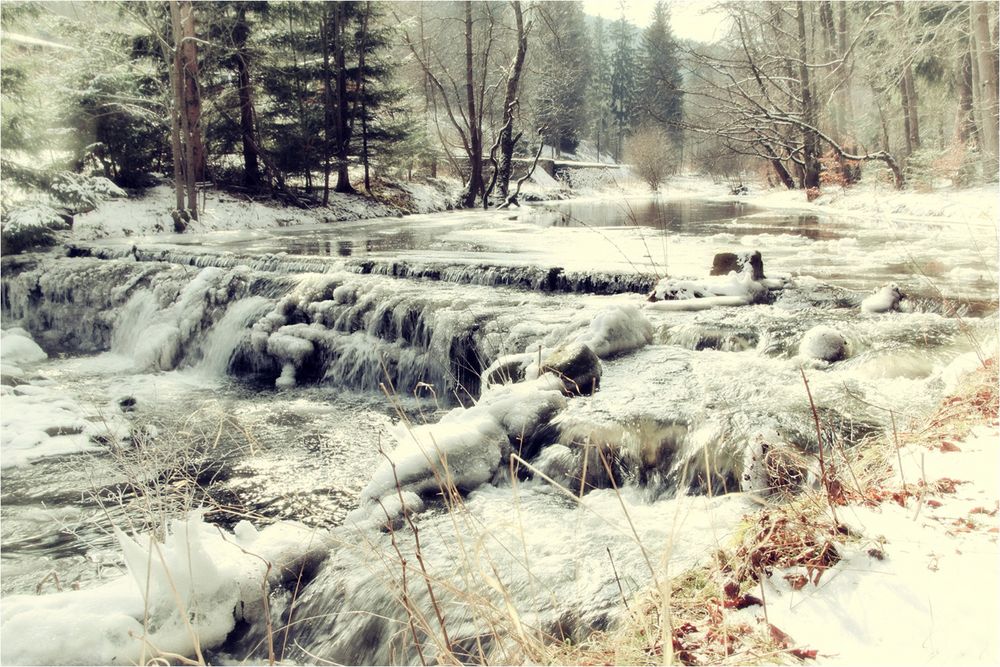 Winter an der Preßnitz